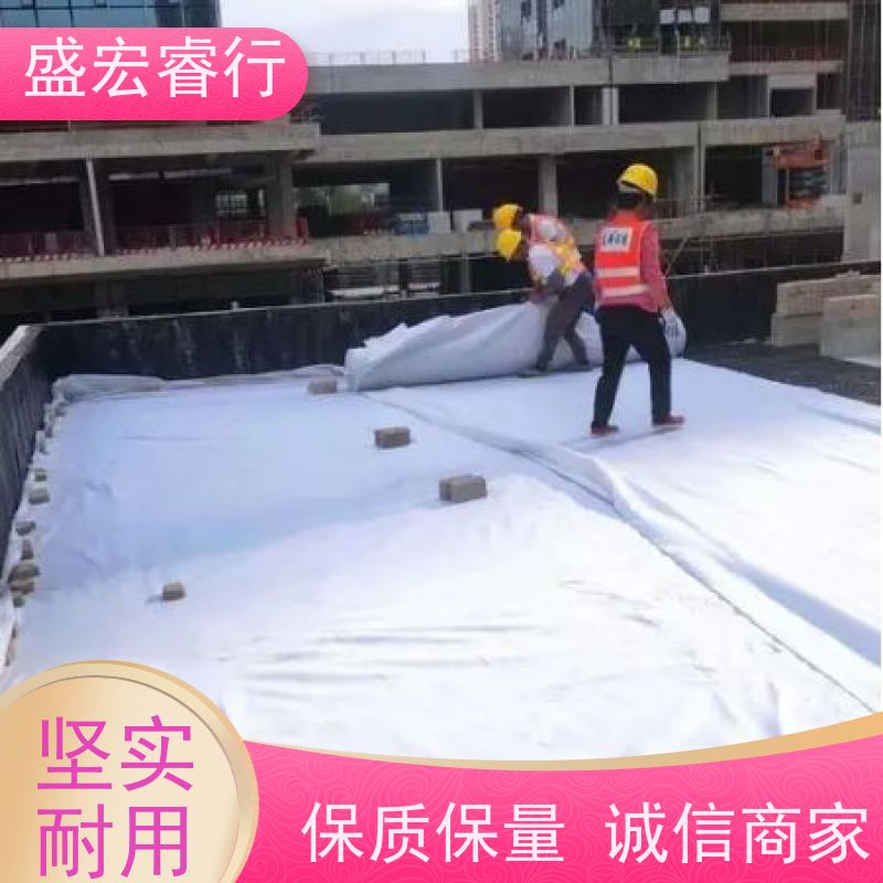 盛宏睿行 丙纶土工布  多用途 透水保湿防尘护坡一体