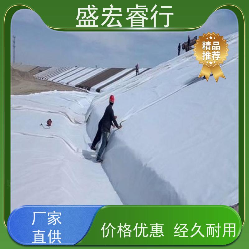 盛宏睿行 校园绿化工程专用复合防水膜 PE土工膜 一布一膜