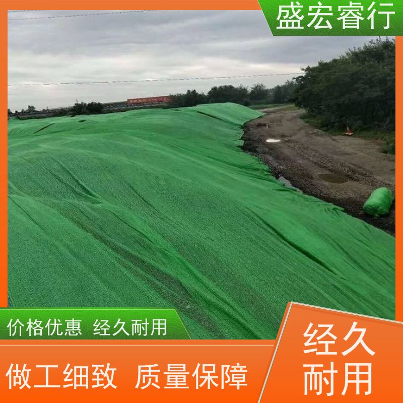 盛宏睿行 SNG土工布  运动场 地基排水加固隔离布 定制