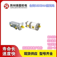 双联泵 德克玛双联齿轮泵台湾DEKEMA德克玛 GPY-10  