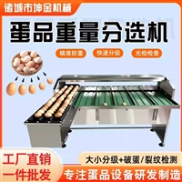 诸城蛋品重量分选机 商用鸡蛋鸭蛋分级机 蛋品加工设备厂家