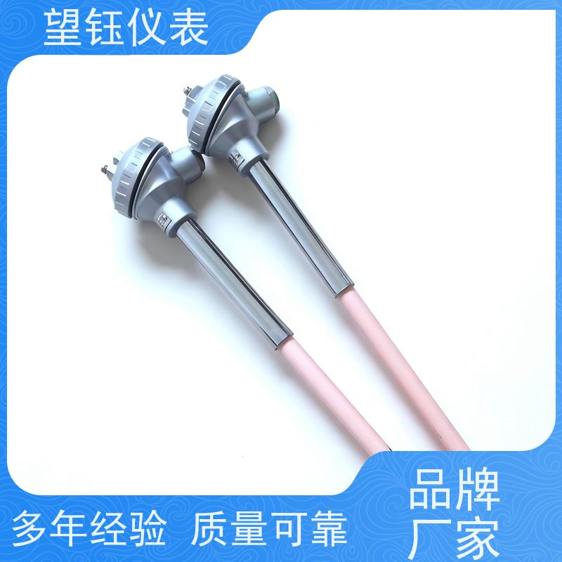 望钰 响应快 Pt100螺纹热电偶 化工反应釜 厂家供应