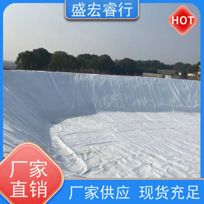 盛宏睿行 热烫土工布  淋膜 大棚保温防水防渗工程布