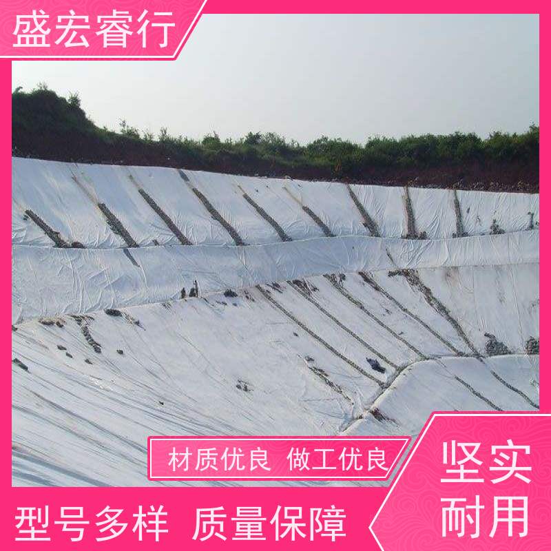 盛宏睿行 农村水利改造工程专用 市政建设常用 复合膜 不透水土工布