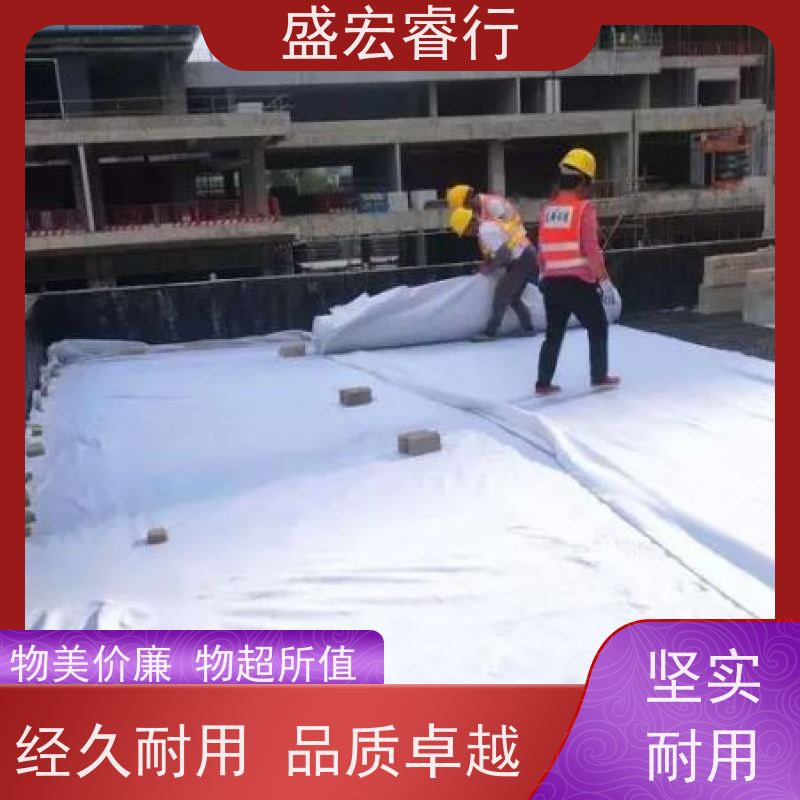 盛宏睿行 FNG土工布  垃圾填埋场 防渗过滤加固 透水无纺布