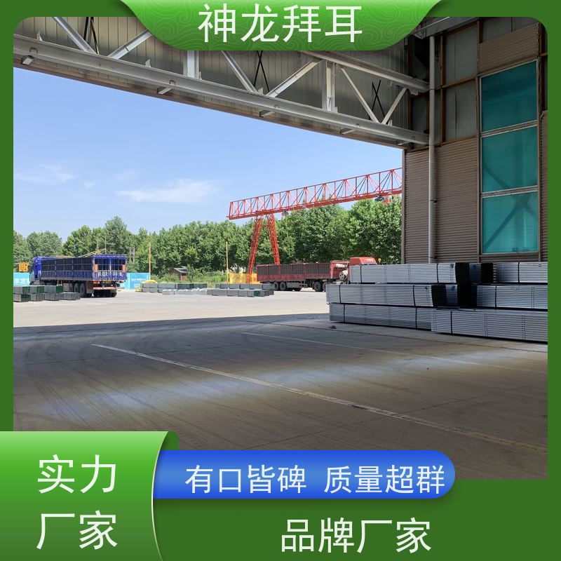 神龙拜耳 品牌 耐用 镀锌光伏支架