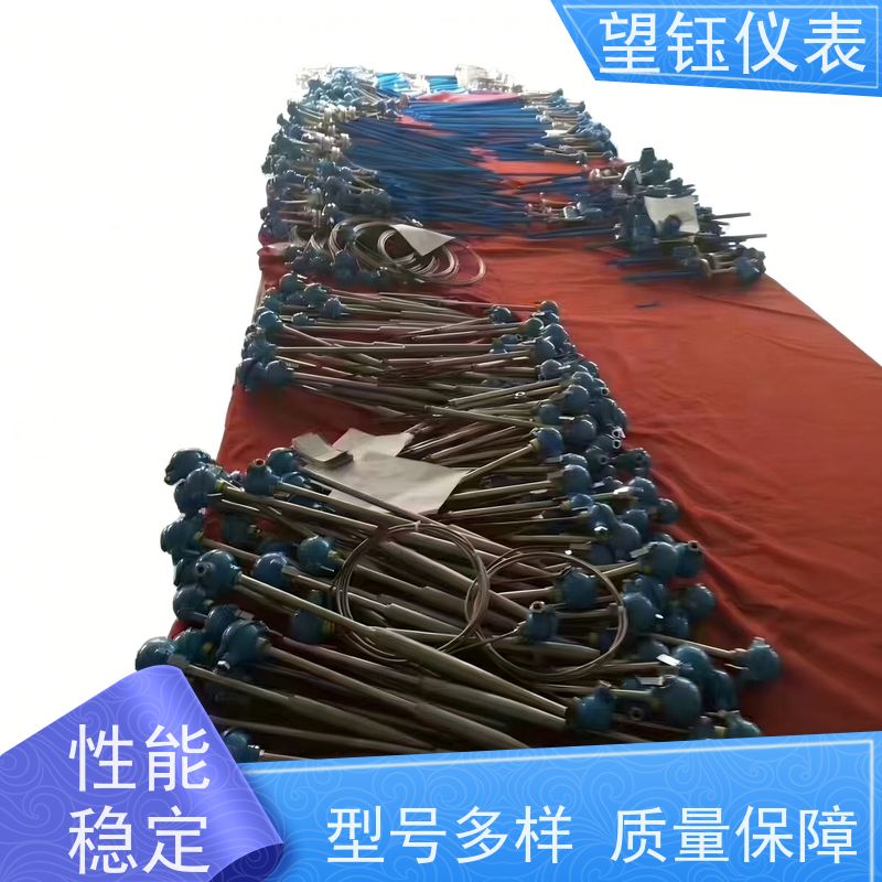 望钰 可定制 WRJ工业热电偶 化工反应釜 生产厂家