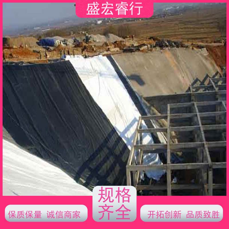 盛宏睿行 耐酸碱环保无异味复合防渗膜 PE土工膜 两布一膜
