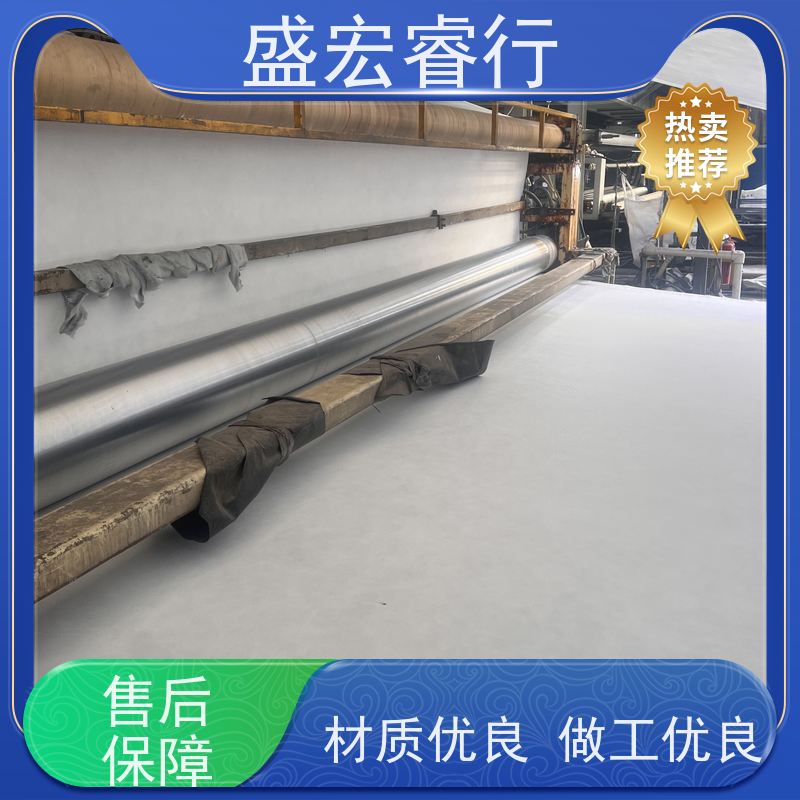 盛宏睿行 海绵城市建设 透水防渗保水  PE土工膜 两布一膜