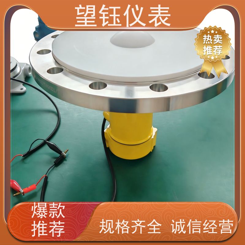 望钰分体式YPRD90化工液位计 制药储罐 厂家供应