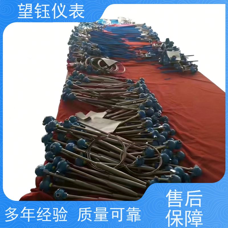 望钰 可定制 Cu50探针热电偶 化工反应釜 厂家供应