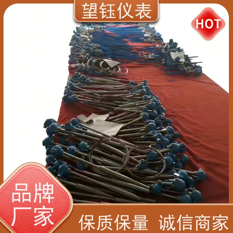 望钰 响应快 Pt100T型热电偶 热处理炉 生产厂家