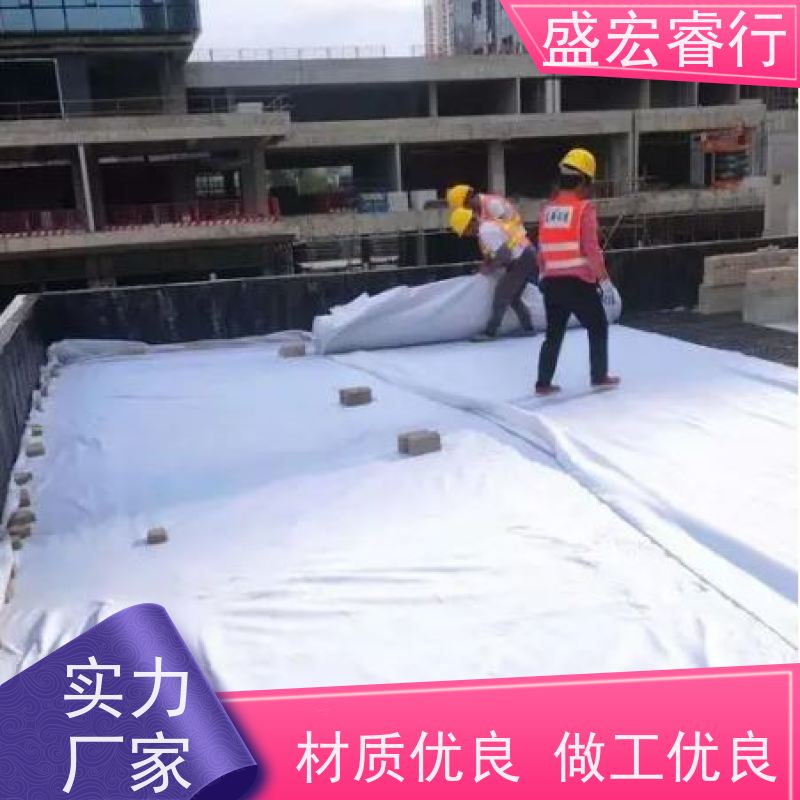 盛宏睿行 涤纶土工布  市政工程 道路施工防尘保湿布