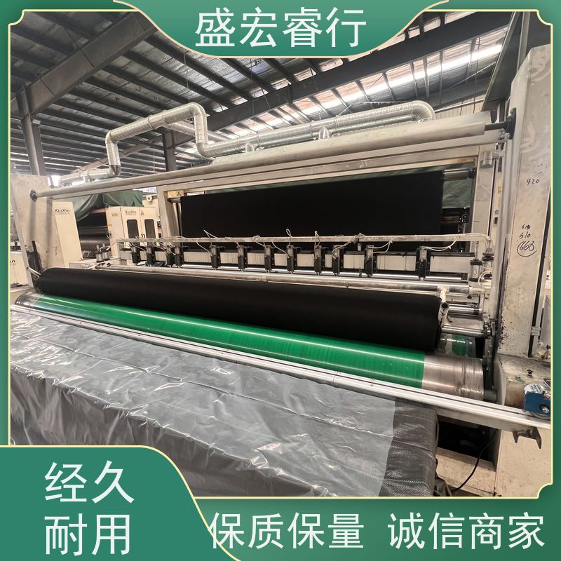 盛宏睿行 SNG土工布  园林绿化 防尘盖土保湿透气布