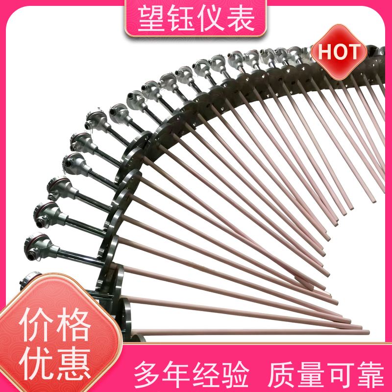 望钰 抗干扰 WRQ装配式热电偶 食品制药 厂家供应