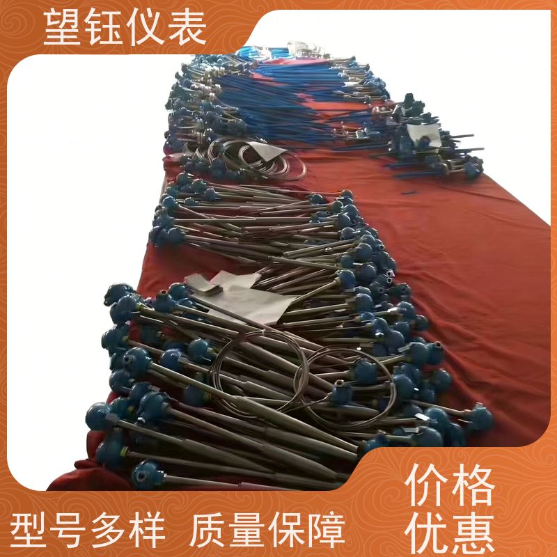 望钰 耐磨耐腐蚀 WRE螺纹热电偶 石油石化 生产厂家