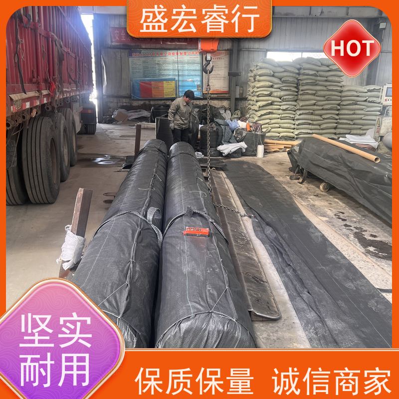 盛宏睿行 二布一膜防水土工布 煤炭加工企业污水池专用 复合膜