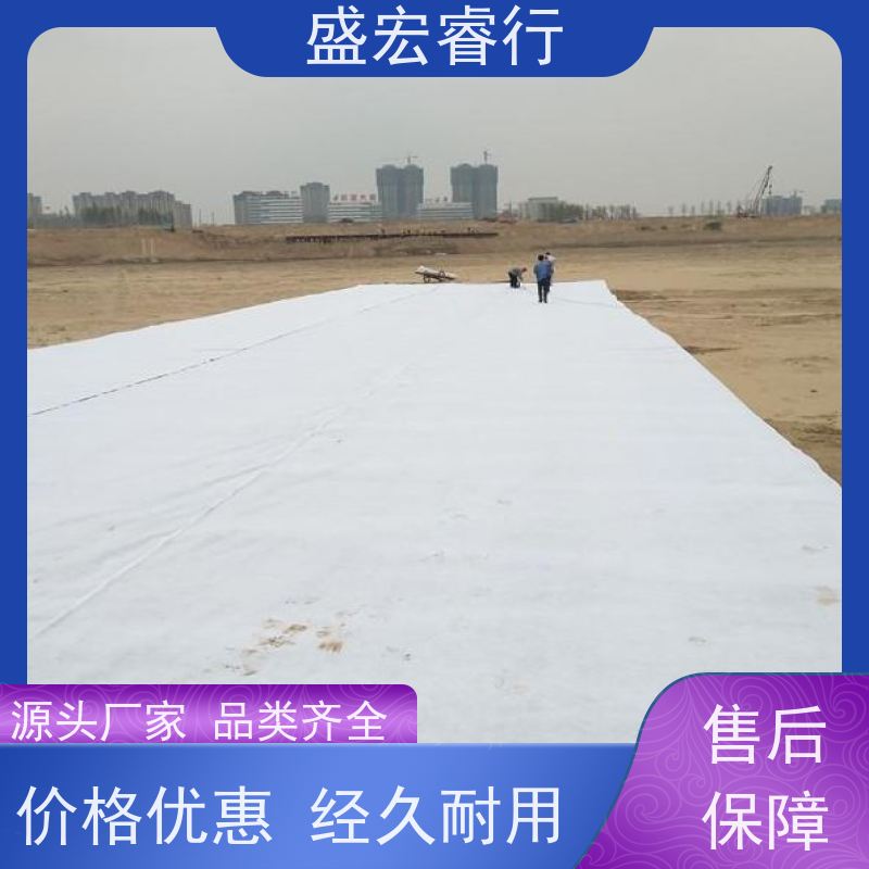 盛宏睿行 土工布  可裁剪可分切全国发货 加厚耐穿刺
