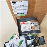 美国DAYTON 三相电机马达离心风机1PDP7