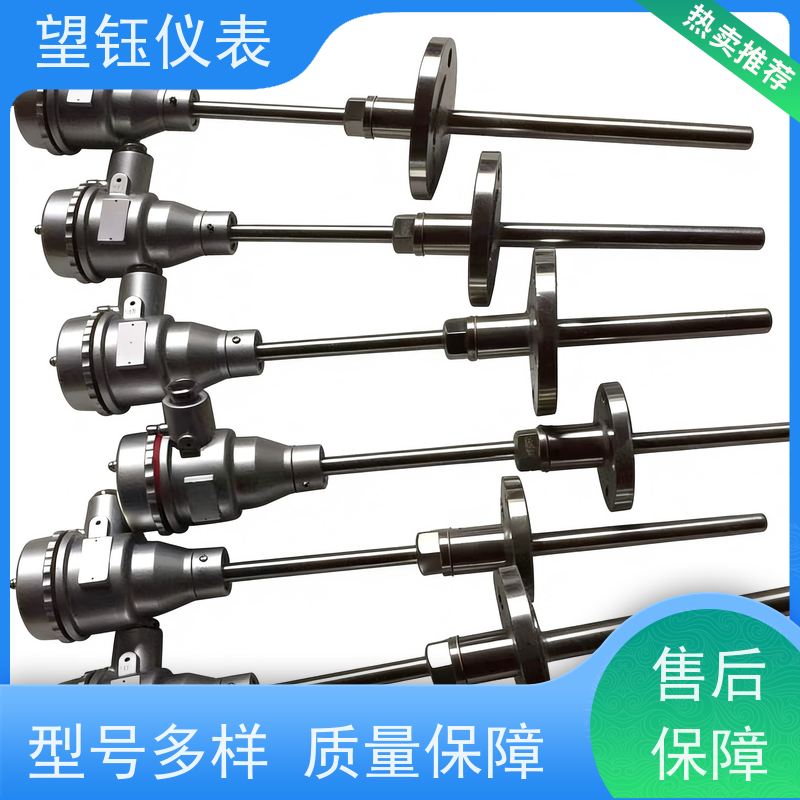 望钰 耐高温 WRQB型热电偶 化工反应釜 生产厂家