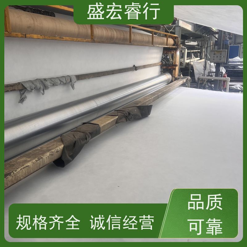 盛宏睿行 固废处理环保工程专用膜 复合膜 一布一膜