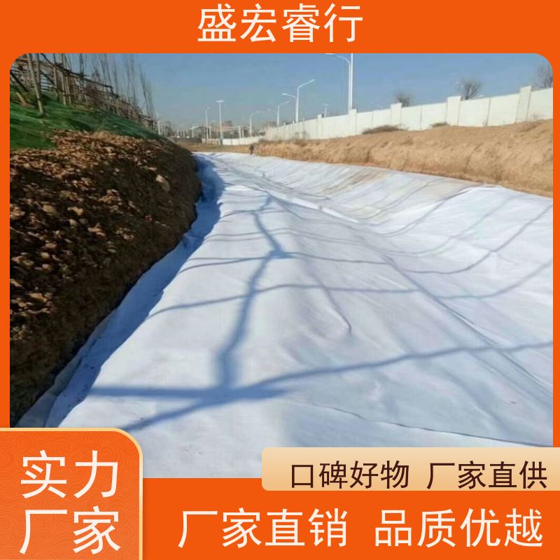 盛宏睿行 涤纶土工布  桥梁养.护 混凝土保养防渗布
