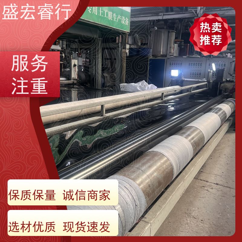 盛宏睿行 0.6PE膜 环保 垃圾场污水处理专用膜 隔离膜