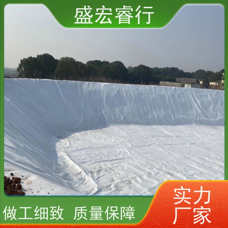 盛宏睿行 涤纶土工布  短丝 桥梁隧道排水无纺布 按需生产