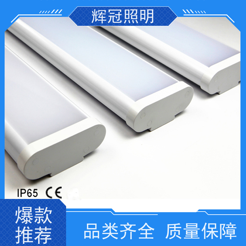 辉冠照明IP65防护等级贴片支架灯 LED全塑双色共挤三防灯外壳厂家