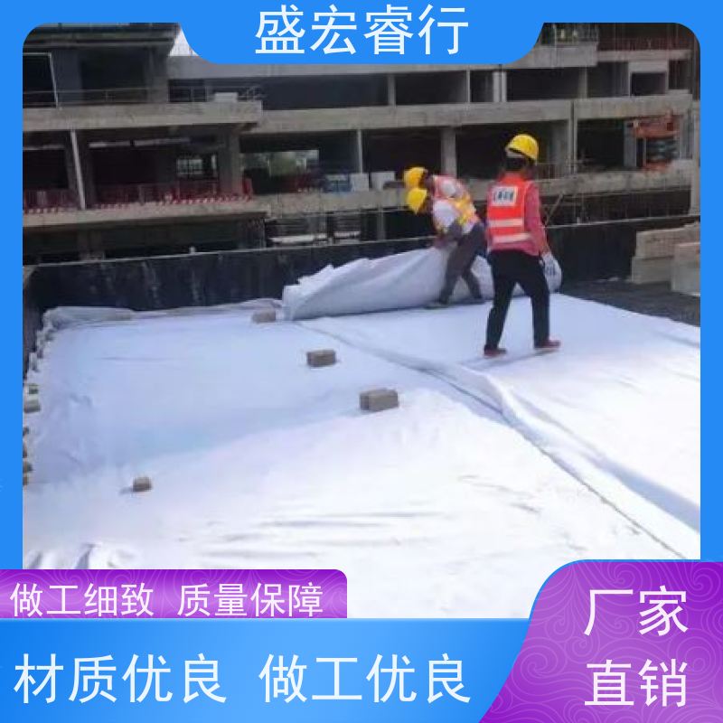 盛宏睿行 土工布  国标非标均可定做 供应支持拿样