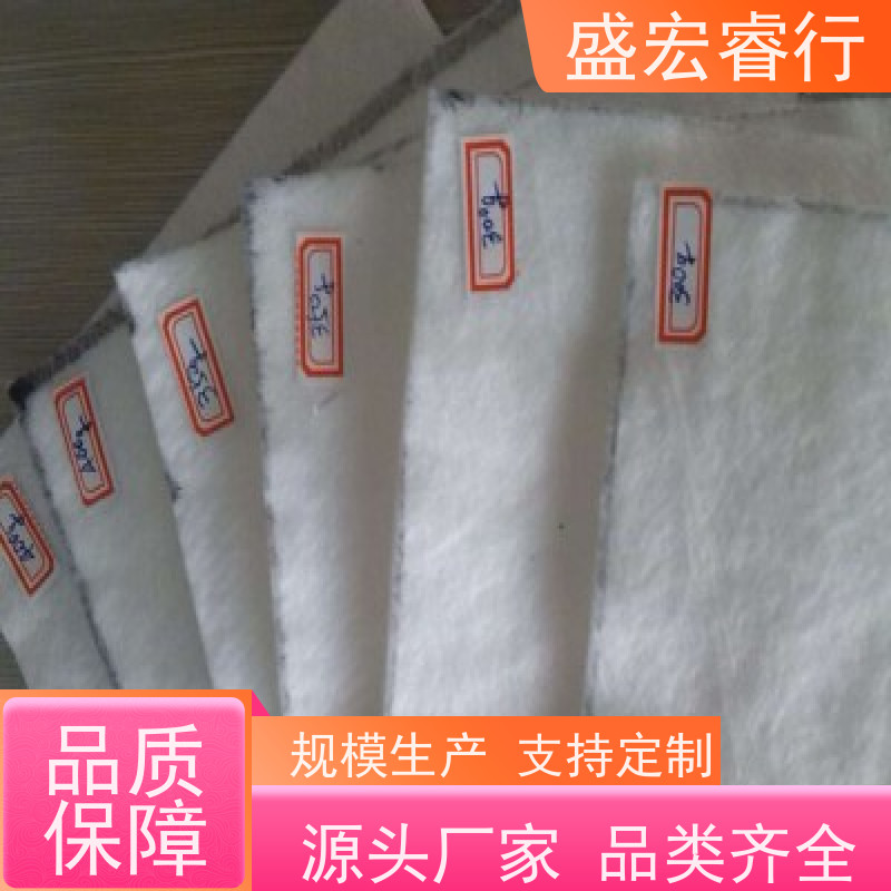盛宏睿行 PP土工布  短丝 工程 透水反滤加固护坡布