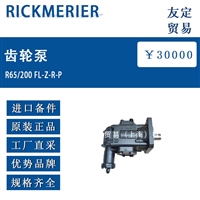 德国RICKMERIER R65/200 FL-Z-R-P齿轮泵