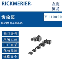 德国RICKMERIER R65/400 FL-Z-UNI-SO齿轮泵