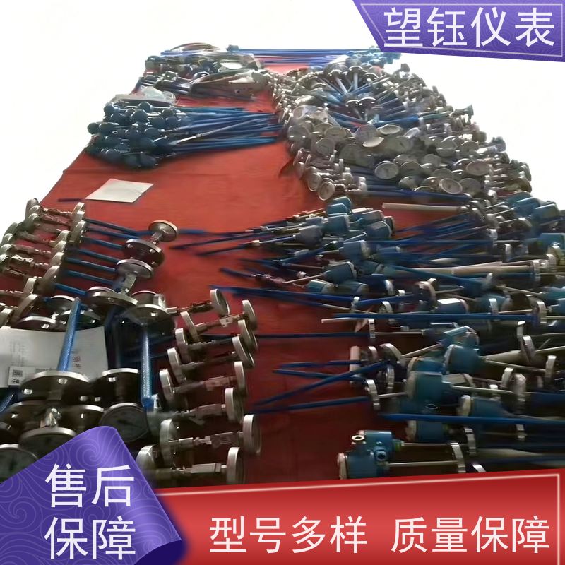 望钰 装配式 WRN工业热电偶 化工反应釜 生产厂家