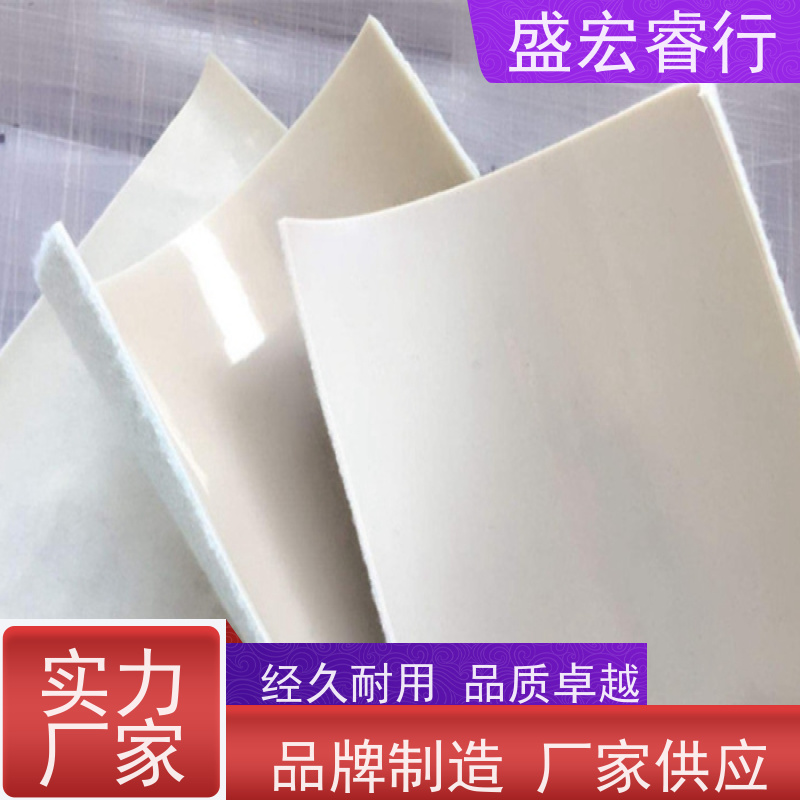 盛宏睿行 河道清淤淤泥堆场 防渗防污隔离  复合膜 二布一膜防水土工布