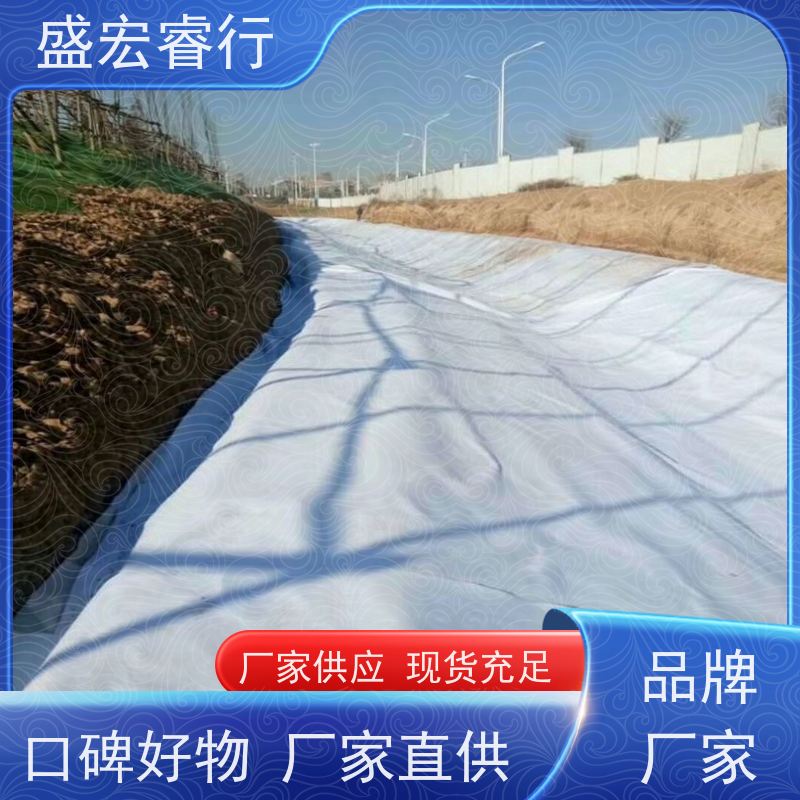 盛宏睿行 PP土工布  水库 堤坝加固防渗反滤无纺布