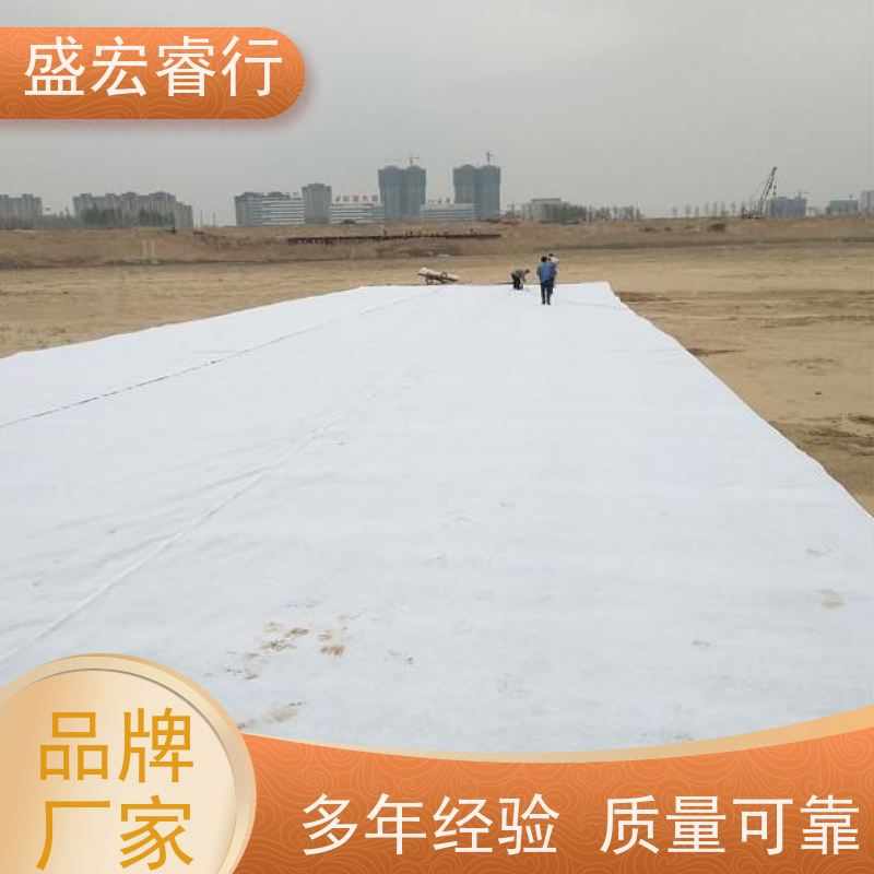 盛宏睿行 PET土工布  复合 多规格防渗加固工程布