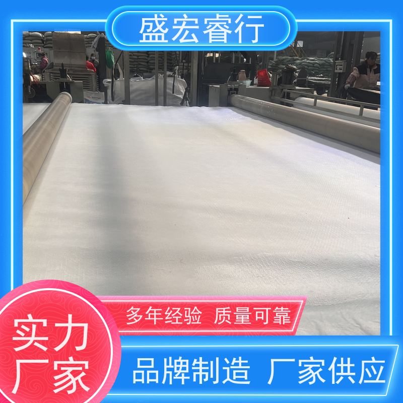 盛宏睿行 耐酸碱环保无异味复合防渗膜 土工膜 SN2两布一膜