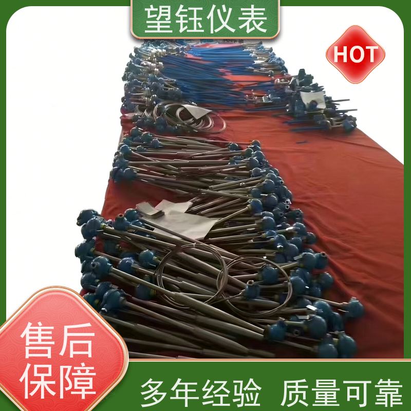 望钰 装配式 Pt100温度传感器 工业炉窑 厂家供应