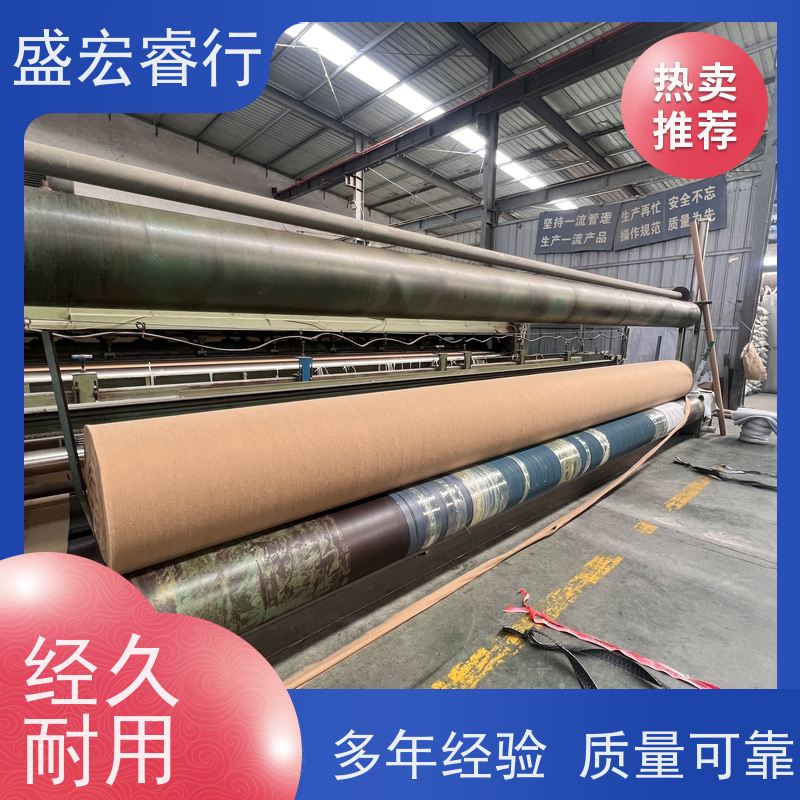 盛宏睿行 SNG土工布  聚酯长丝 堤坝水库加固反滤布