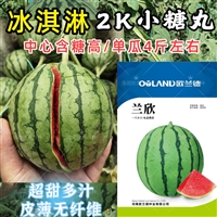 砀山西瓜市场,砀山西瓜批发,砀山西瓜批发市场,批发市场在哪