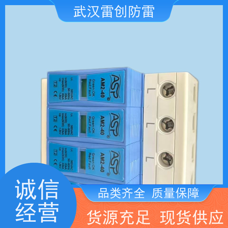 ASP电源防雷器 网络机柜进线处 AM1-80/2 单相220V 40kA 响应快速