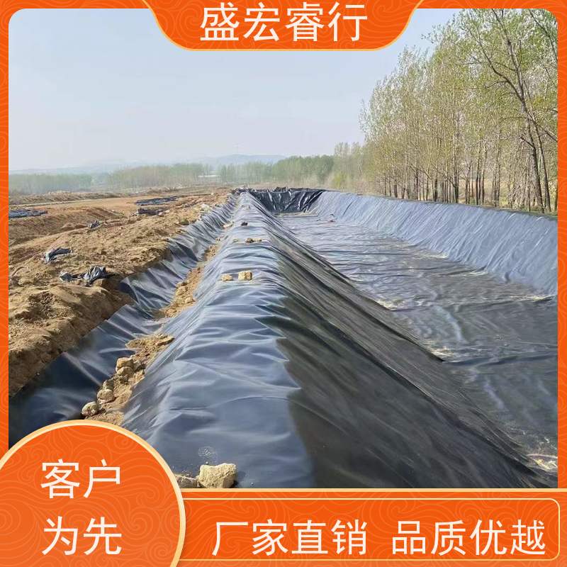 盛宏睿行 聚乙烯塑料薄膜 隧道 工程专用防.水膜  防水膜
