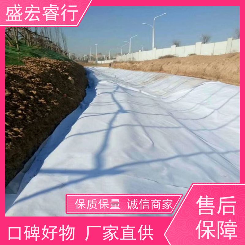 盛宏睿行 丙纶土工布  加筋防渗 道路路基防水加固布