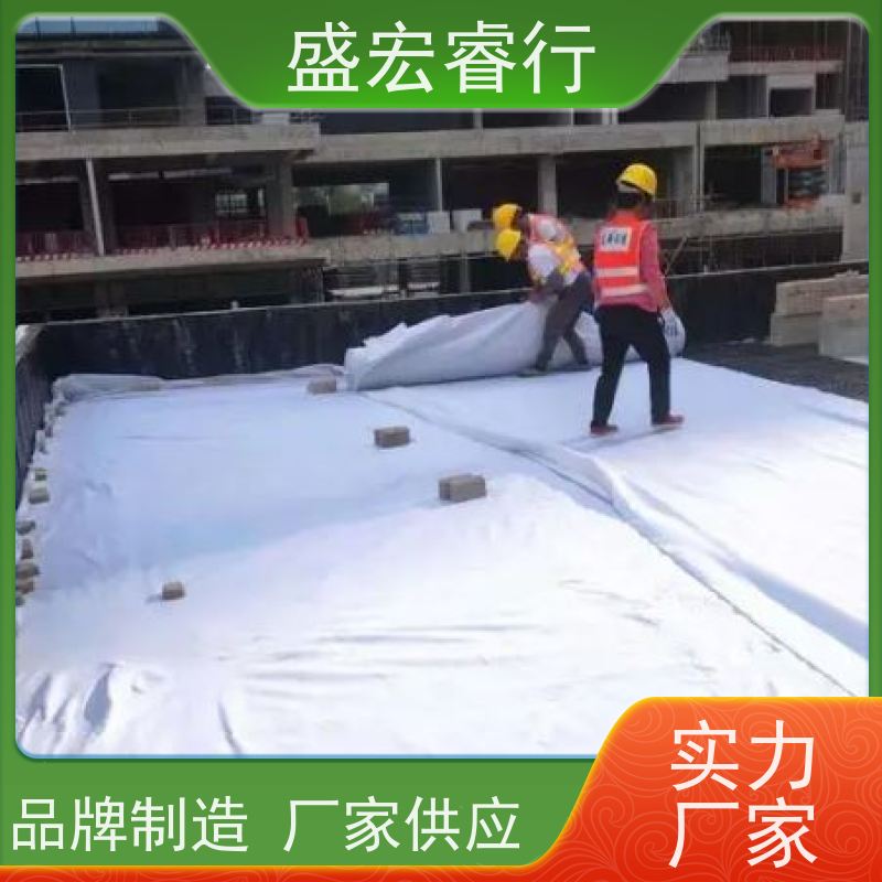 盛宏睿行 土工布  人工湖防渗 景观水池防水布 定制