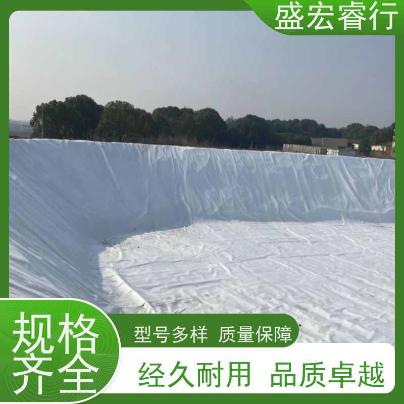 盛宏睿行 热烫土工布  耐高温长丝 工程施工专用材料