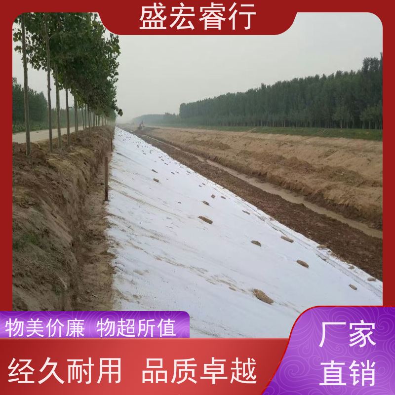 盛宏睿行 丙纶土工布   建筑工程保湿防渗材料 公路养护