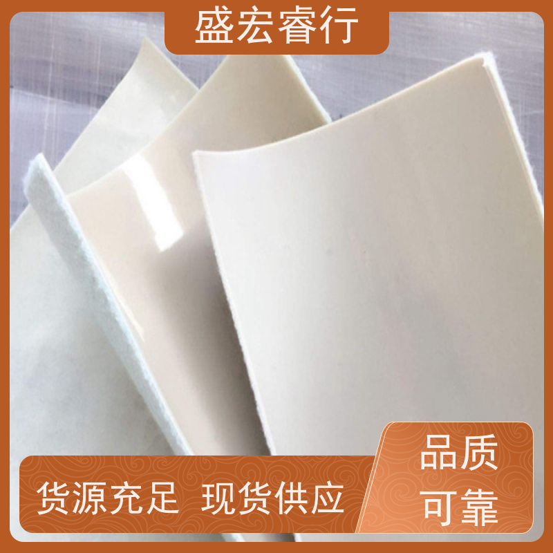盛宏睿行 FN2两布一膜 食品厂加工废水池 环保无毒防渗  土工膜