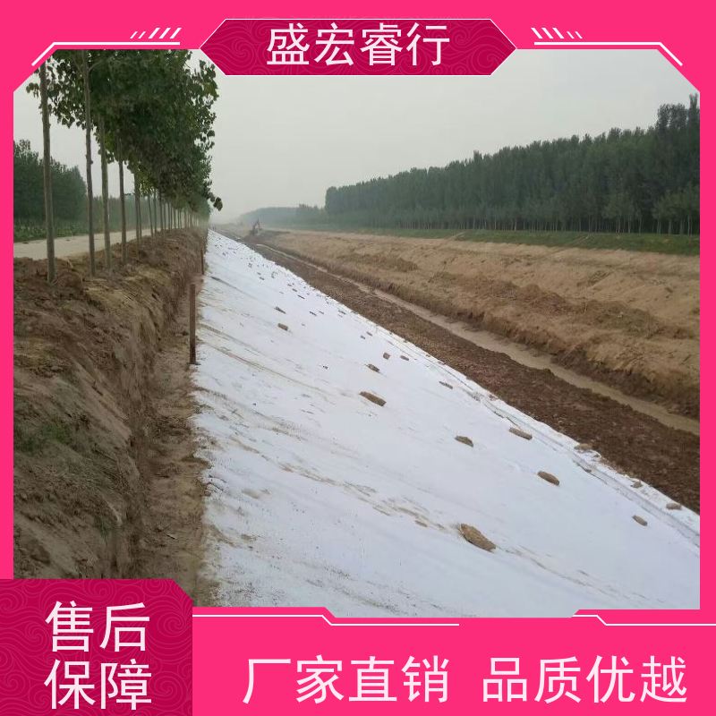 盛宏睿行 丙纶土工布  加厚 耐磨抗老化工程专用布 定制