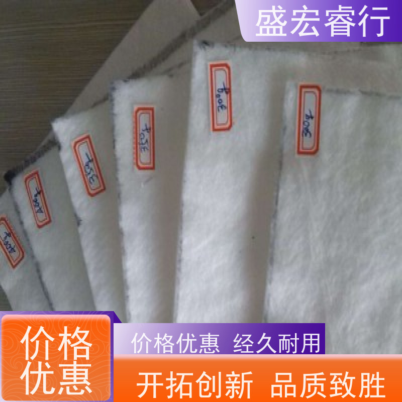 盛宏睿行 热烫土工布  人工湖防渗 景观水池防水布 定制